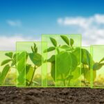 Maximize Agricultural Productivity and Safeguard Your Financial Returns