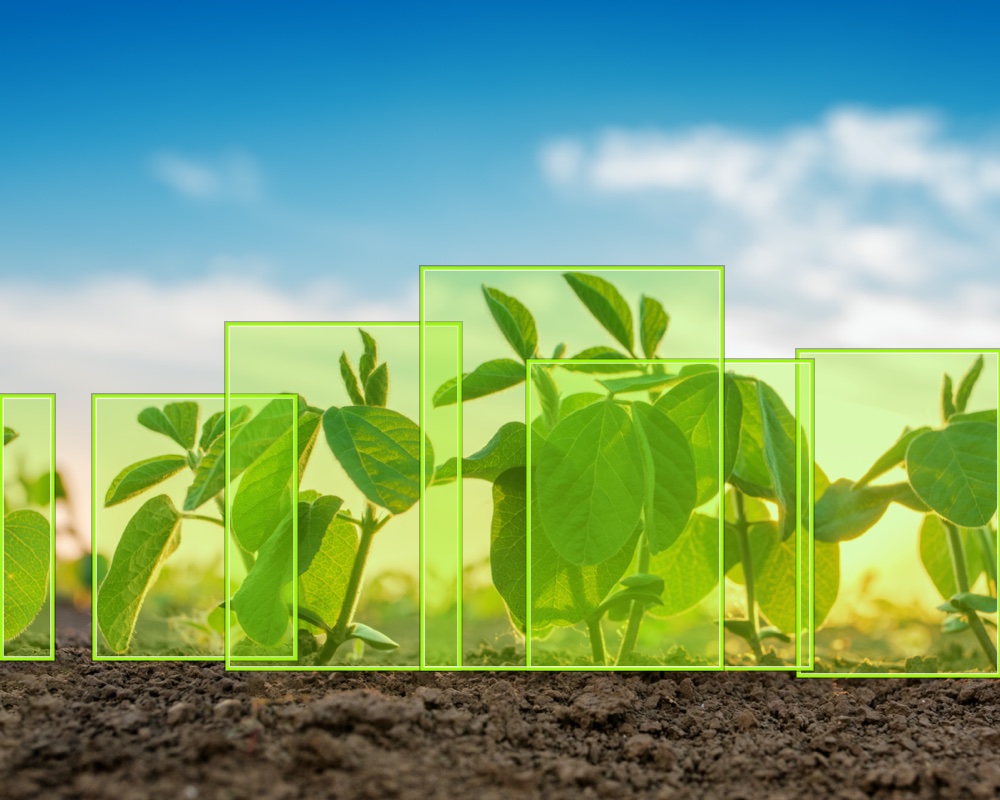 Read more about the article Maximize Agricultural Productivity and Safeguard Your Financial Returns